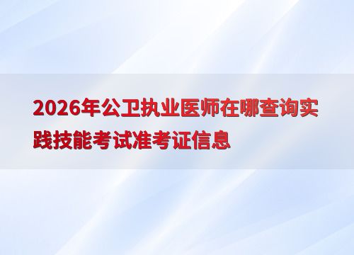 2026年公卫执业医师实践技能考试准考证查询指南 渠道、步骤与技术交流
